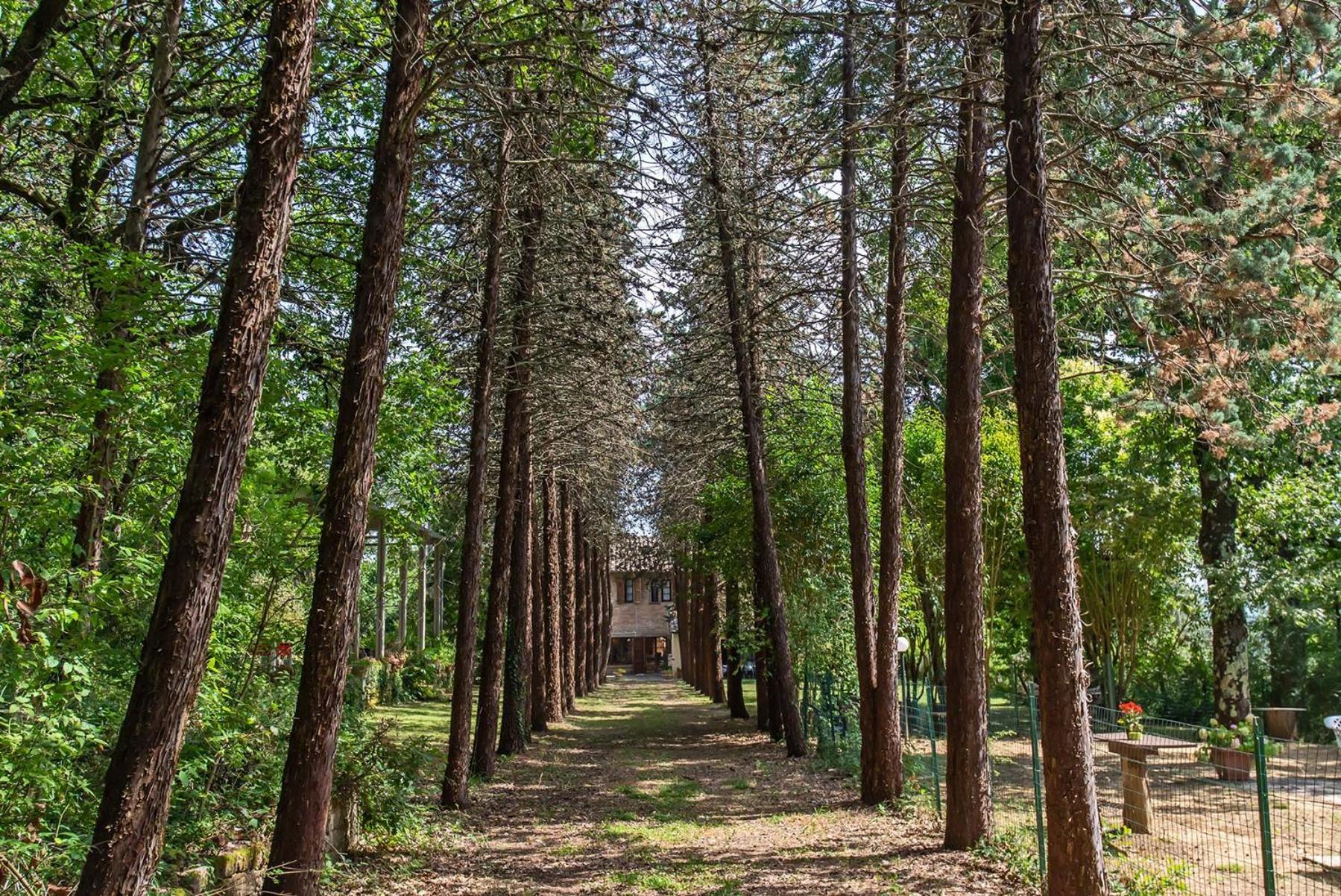 Agriturismo Villa Alari Cetona Buitenkant foto