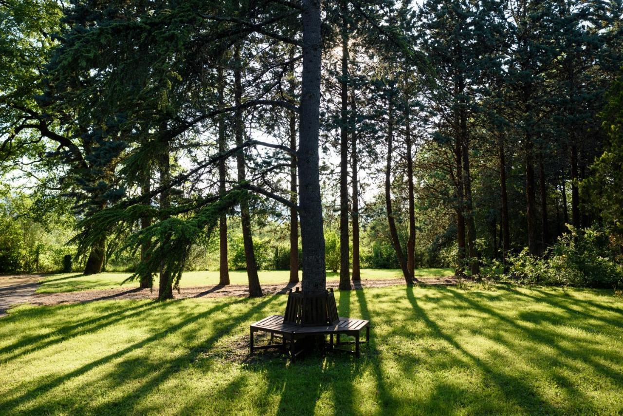 Agriturismo Villa Alari Cetona Buitenkant foto